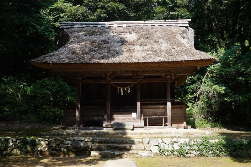 綱神社本殿