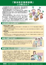 国民投票制度周知用チラシ（1ページ）