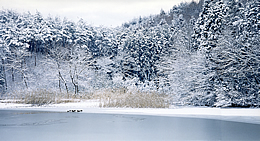 冬の須田ヶ池