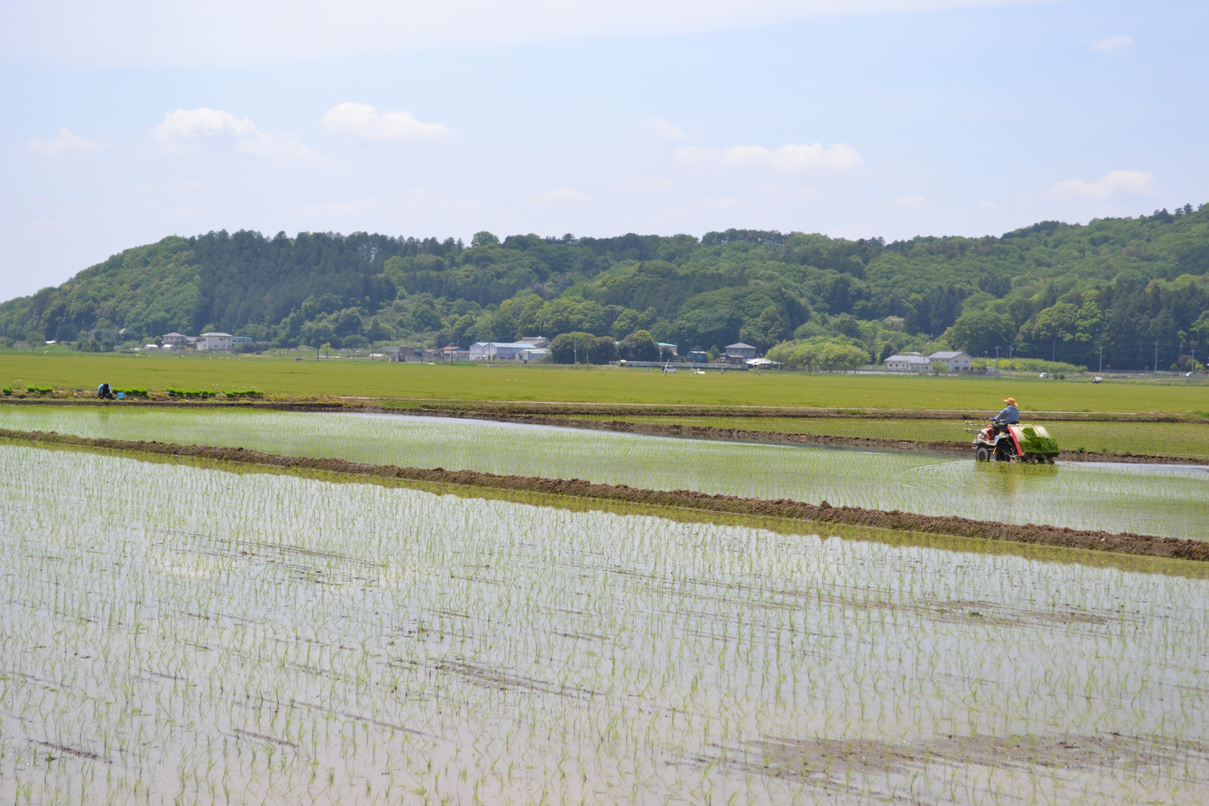 田園風景