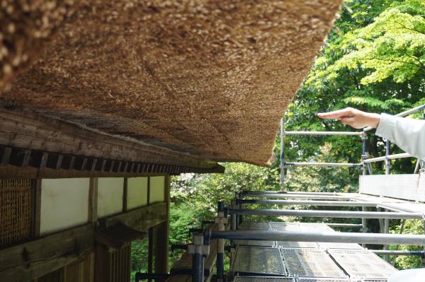 東側屋根軒下