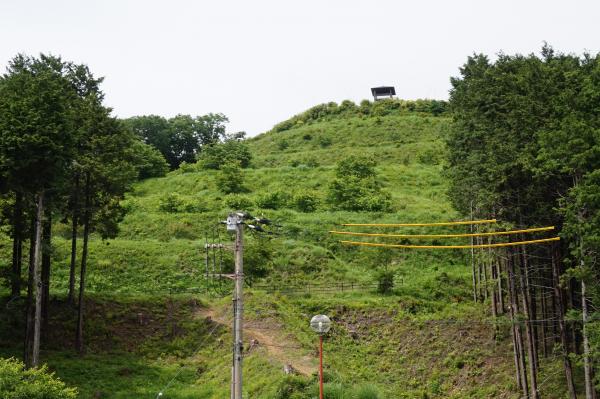 皆川城