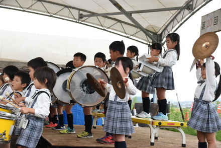 コスモス2018-05