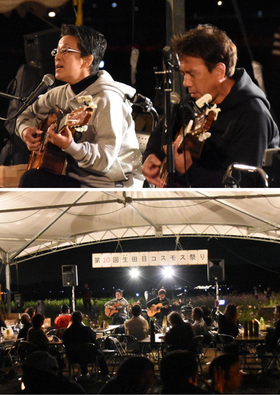 コスモス2018-08