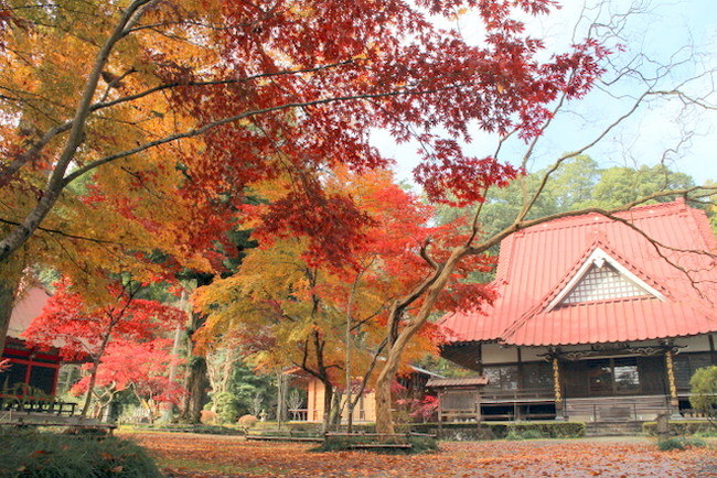 No.31 円通寺の紅葉と大銀杏