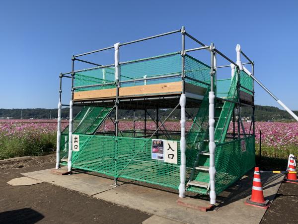 r1 コスモス10.10-2