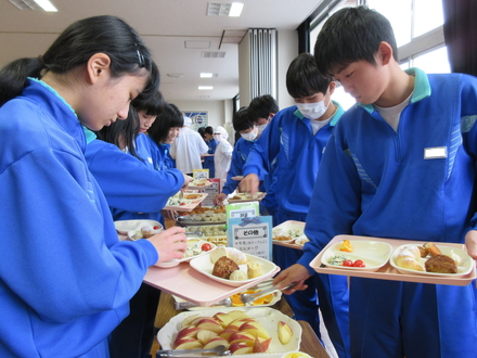 田野中1
