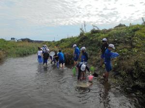水生生物七井小1