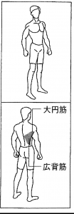 効ラットプルダウン