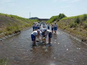 七井小学校2023(1)