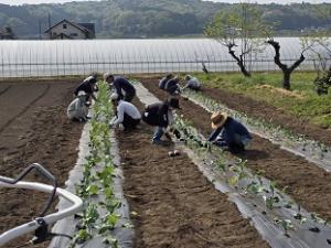 4期生(2)