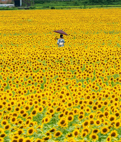 益子準大賞1　2025