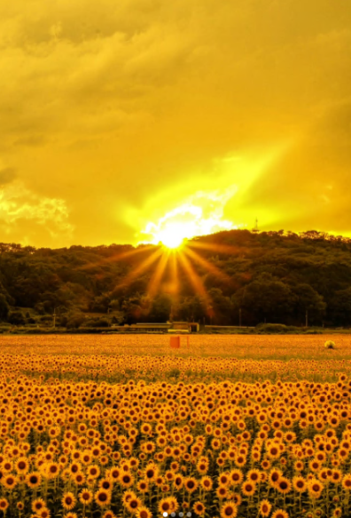 益子準大賞４　2025