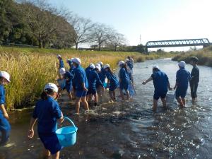 R7水生生物調査(益子西小)2