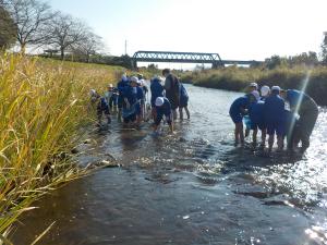 R7水生生物調査(益子西小)1