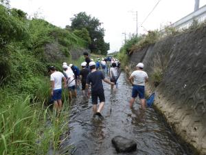 R7水生生物調査(益子小)1