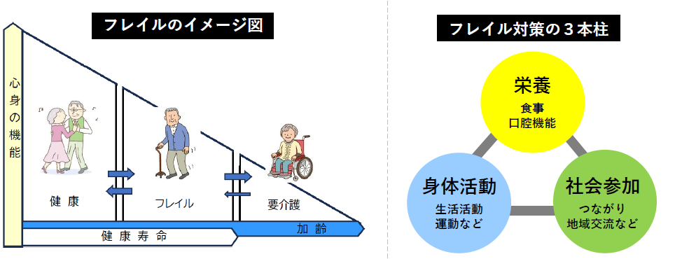 フレイルイメージ図・３本柱