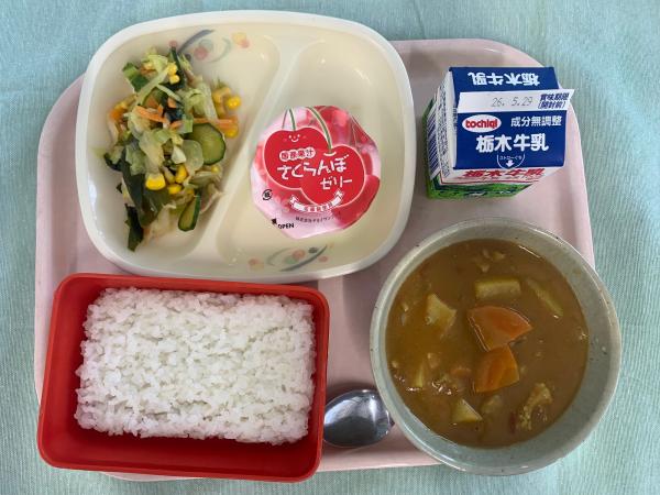 今日の給食2026.5.19