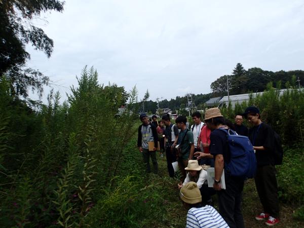 『風景遠足　道祖土田んぼ』の画像