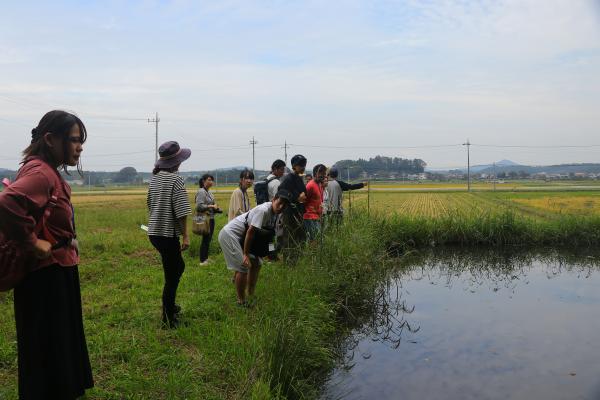 『風景遠足　蟹澤の井』の画像