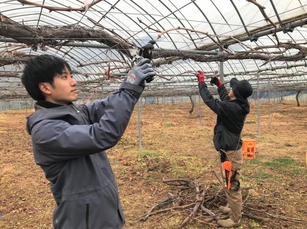 『地域おこし協力隊の橋本さんと城間さん』の画像