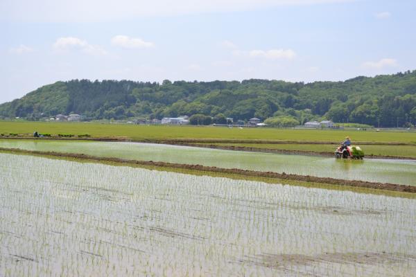 『田園風景』の画像