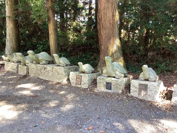 『亀岡八幡宮』の画像