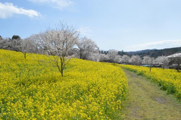 『小宅古墳群』の画像