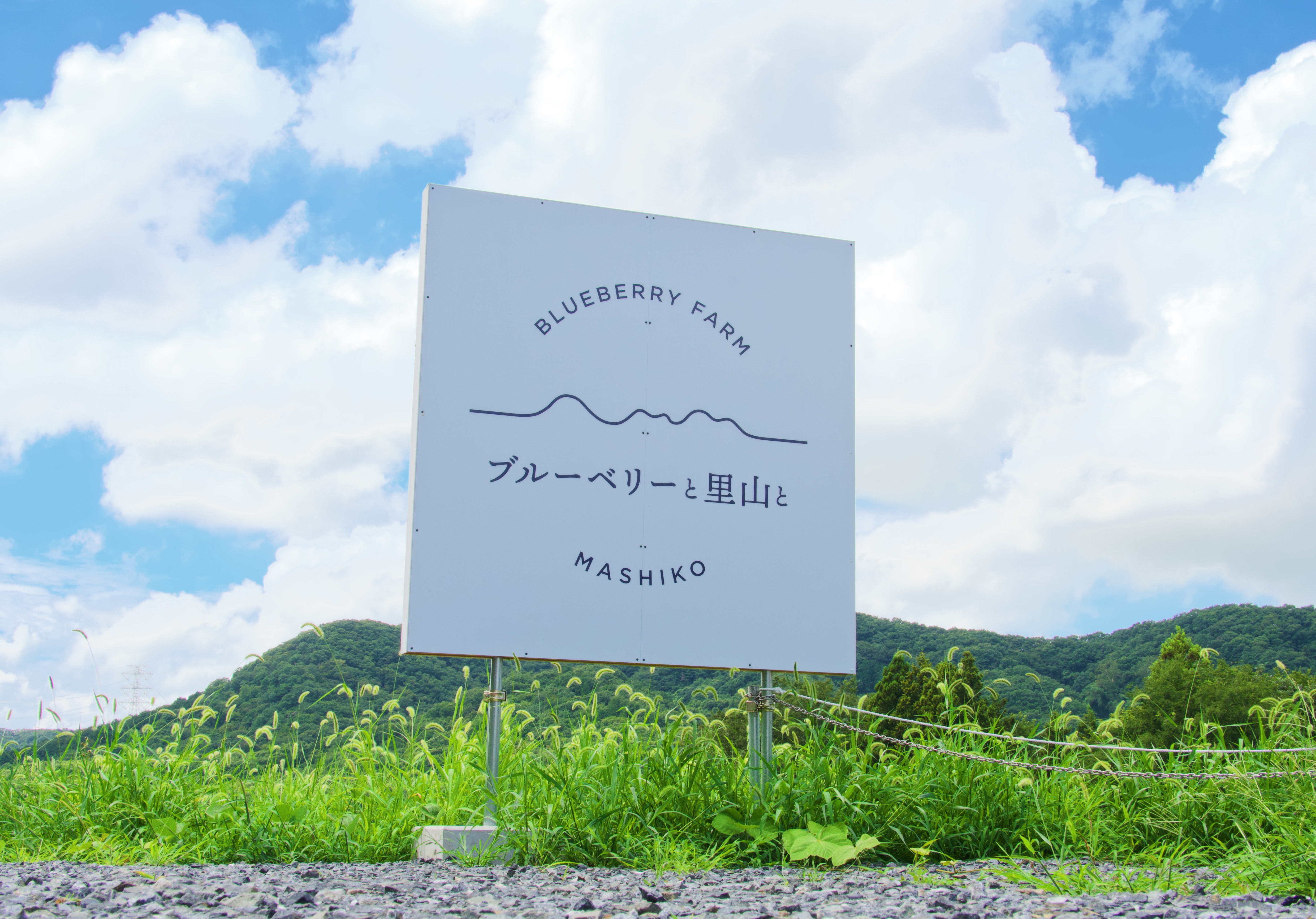 『ブルーベリーと里山と-看板』の画像