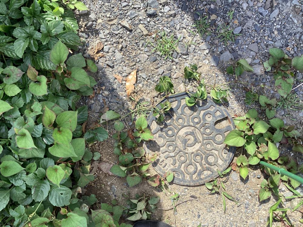下水道