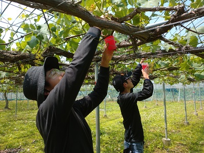 ヘッダー画像