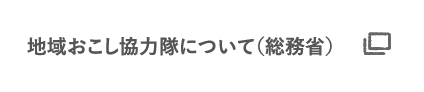 地域おこし協力隊について(総務省)