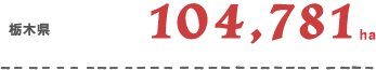 104,781ha